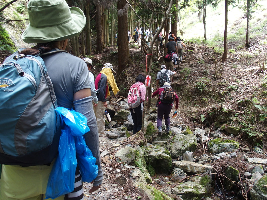 のせでん山の日ハイキング 山の恩恵に感謝するクリーンハイキング のせでんハイキング おでかけ 沿線情報 のせでん 能勢電鉄